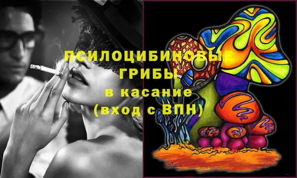 таблы Ельня