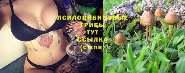 таблы Ельня